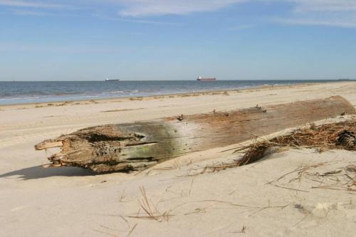 On the Beach At The Chesapeake Bay - image 3