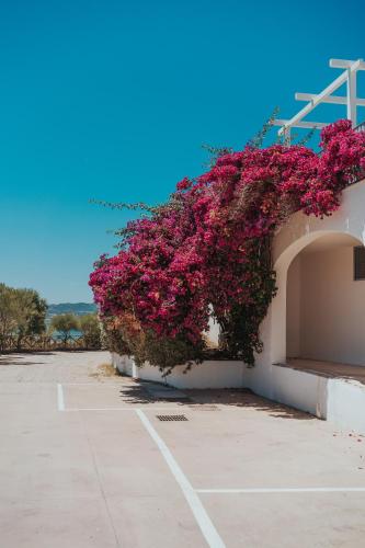 Hotel Alessandro - image 5