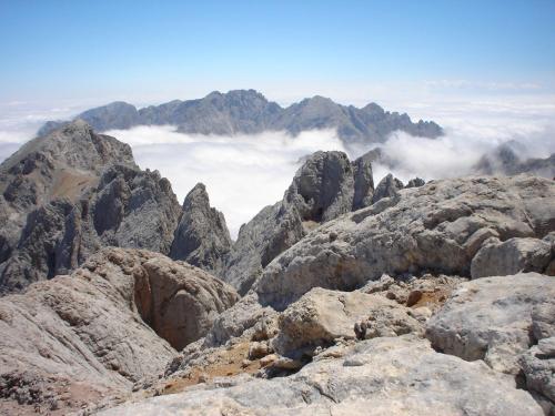 Hotel Picos de Europa