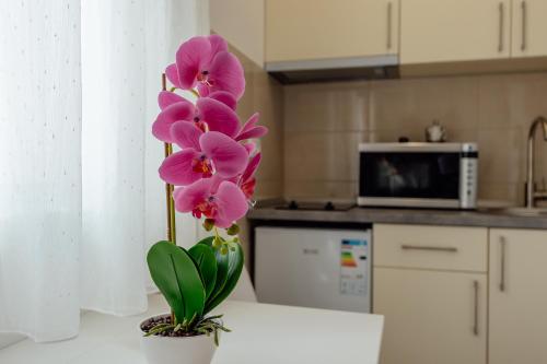 Todorovic apartmani in Herceg Novi