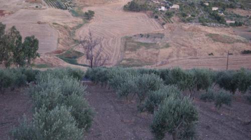 B&B Eyexei Domus