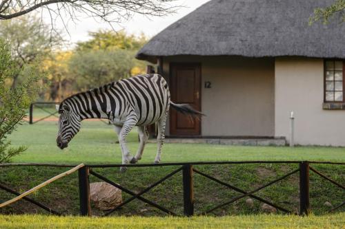 Mongena Private Game Lodge