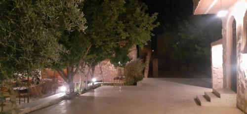 Petra bedouin house in 瓦迪穆薩