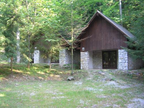 Camping Pivka Jama Postojna - main image