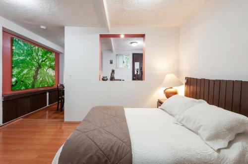 Suite 5A, Altavista, Garden House, Welcome to San Angel in Mexico City, Mexico