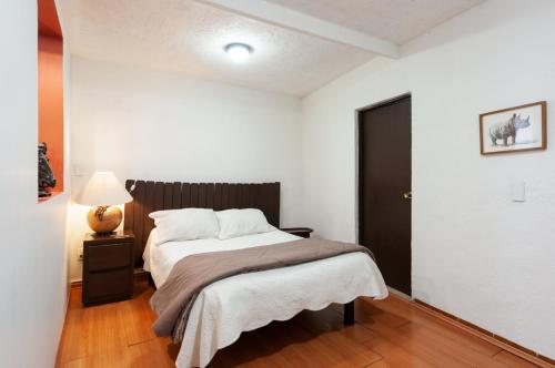 Suite 5A, Altavista, Garden House, Welcome to San Angel in Mexico City, Mexico