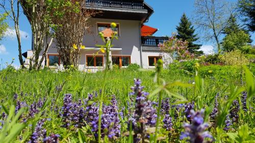 Ferienwohnung Hillig - Apartment - Elterlein