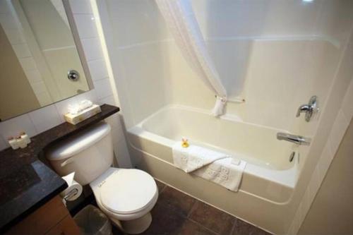 Delightful Chalet 2BD 2BA Pool Hot Tub BBQ Private Entry Park Pass