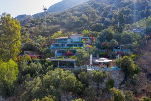 Beyaz Yunus Hotel - Adult Only (+16) - image 9