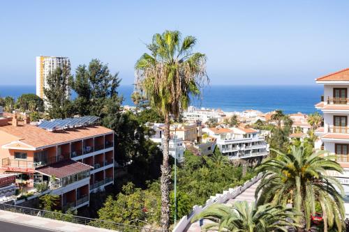  Live Pez Azul in Puerto de la Cruz