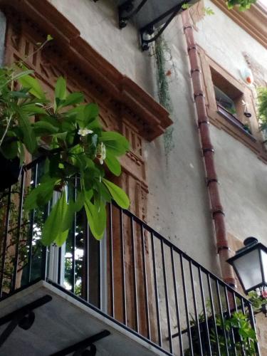 Arimatea Casa Vacanza, Palermo (fotografie 6)