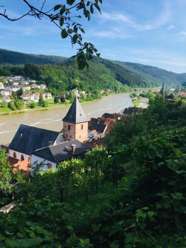 Natur und Neckarblick bei Heidelberg