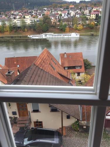 Natur und Neckarblick bei Heidelberg