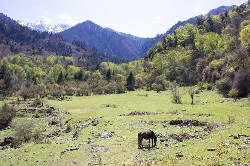 Jiuzhaigou Leisure Inn