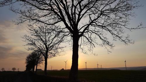 Ferienwohnung An der kleinen Schreinerei