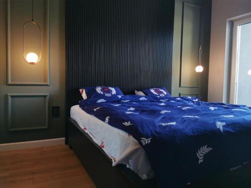 Cazare Electric Castle 2021 Apartament luxurious 2 camere 65mp