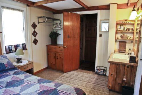 Cabin #4 - Loons Landing cabin in Carp Lake, USA