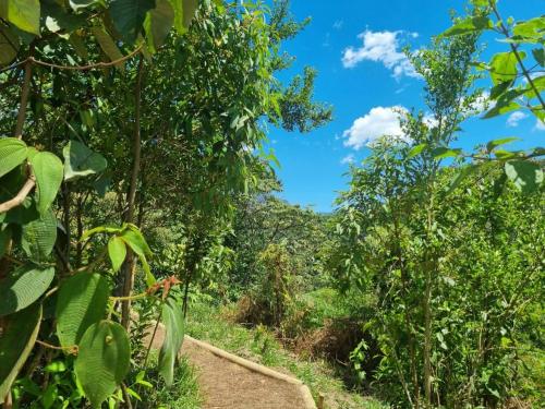 Ecoglamping Reserva Natural Paraíso Andino