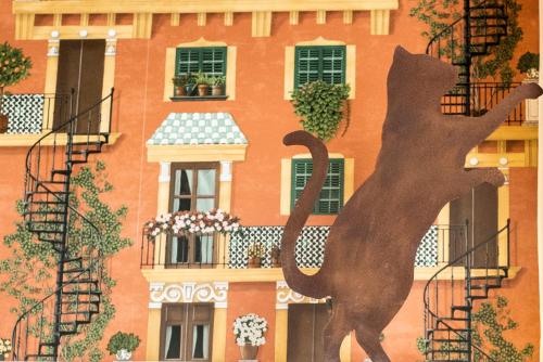 La Casa delle Tartarughe