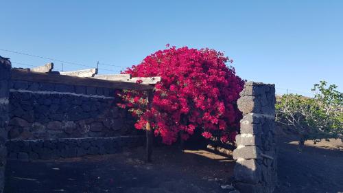  Relax-Oasis Vasiliko Lanzarote -, Pension in La Asomada