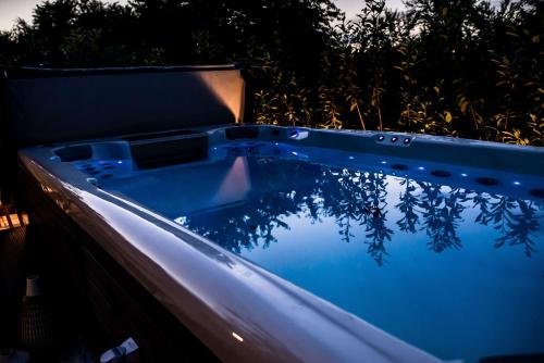 Swimming pool, Nefelejcs Vendeghaz in Nagykáta