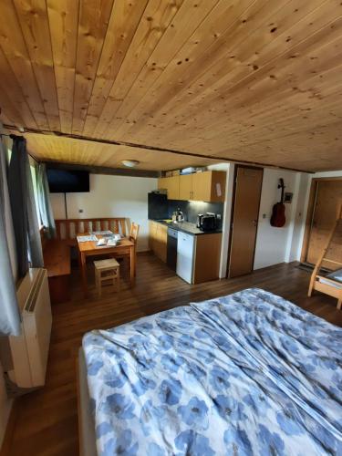 Kitchen, Spicak - U Barabu in Spicak