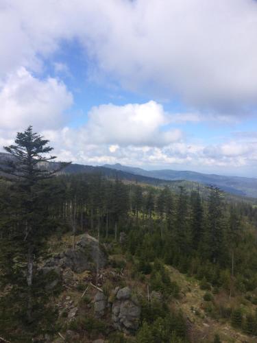 Spicak - U Barabu in Spicak