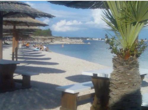 Apartman Marina