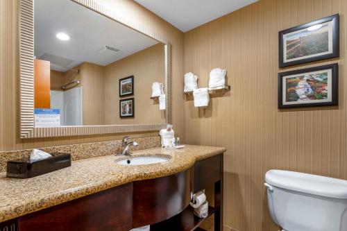 Comfort Suites North Knoxville - image 5