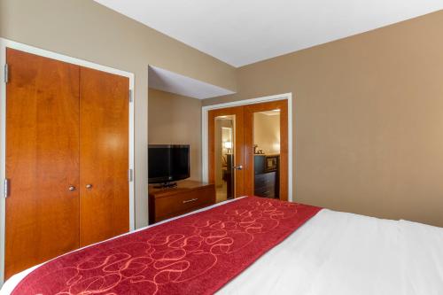 Comfort Suites North Knoxville - image 11
