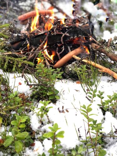 In the middle of Trysil fjellet - Welcome Center - Apartment with 4 bedrooms and sauna - By bike arena and ski lift In the middle of Trysil fjellet - Welcome Center - Apartment with 4 bedrooms and sauna - By bike arena and ski lift