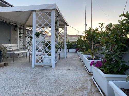 White B&B - image 8