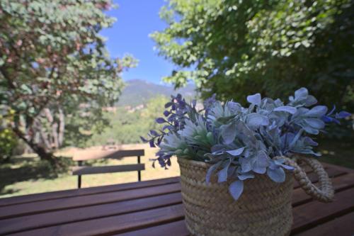 casa con jardín, 4 habitaciones y mucho encanto en cercedilla