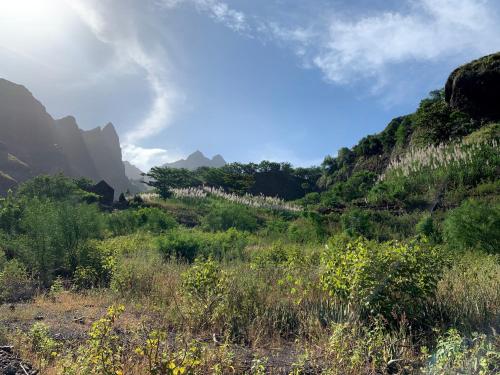 Palmeira Da Cruz EcoLodge