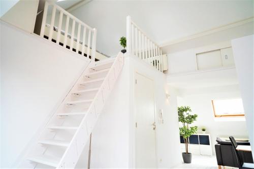 Beautiful Terrace Apartment in the Heart of Antwerp, Amberes (foto 7)