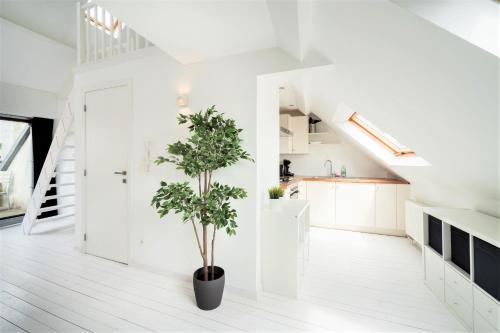Beautiful Terrace Apartment in the Heart of Antwerp, Amberes (foto 5)
