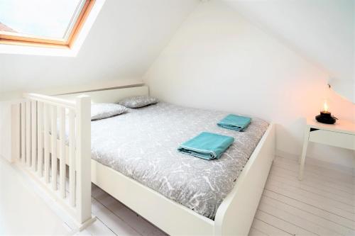 Beautiful Terrace Apartment in the Heart of Antwerp, Amberes (foto 10)