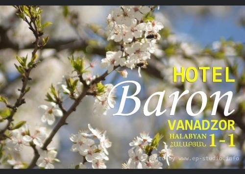 Baron Hotel photo
