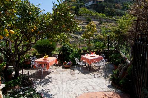 B&B U Palmentu - image 11