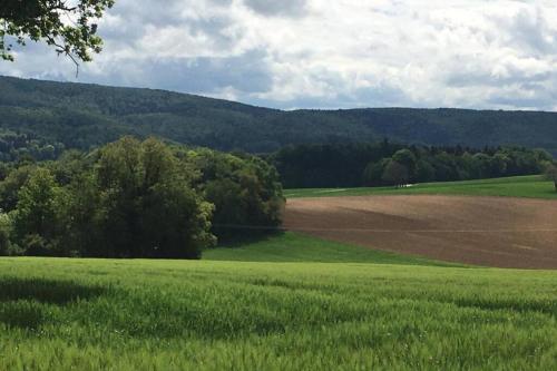 Havre de paix dans le Jura Alsacien avec piscine privée externe de mai à septembre