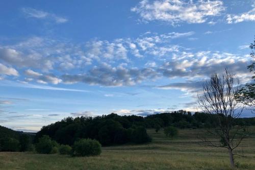 Havre de paix dans le Jura Alsacien avec piscine privée externe de mai à septembre