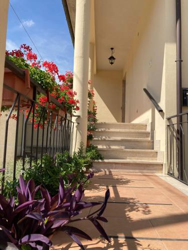 La Casa dei Nonni 5