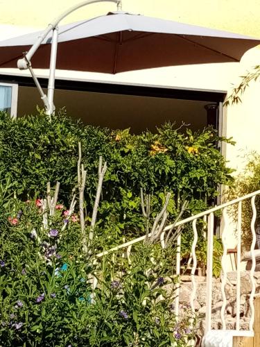 villa du baou gîte à louer Le Broussan