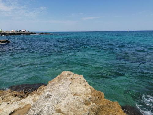 Trullo il Zippo in Zippitello