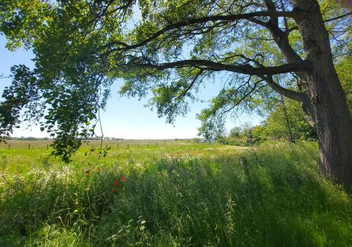 Holiday Home Canal View