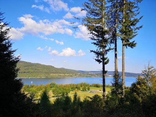 "Kuckucksnest" Hallenbad Freibecken Massagen nebenan