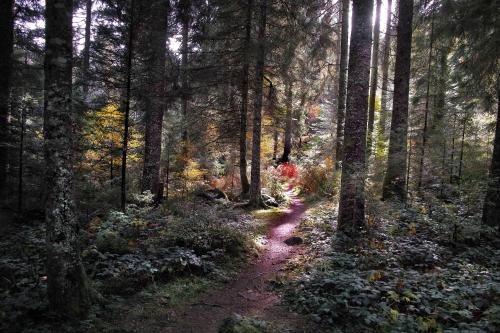 "Kuckucksnest" Hallenbad Freibecken Massagen nebenan