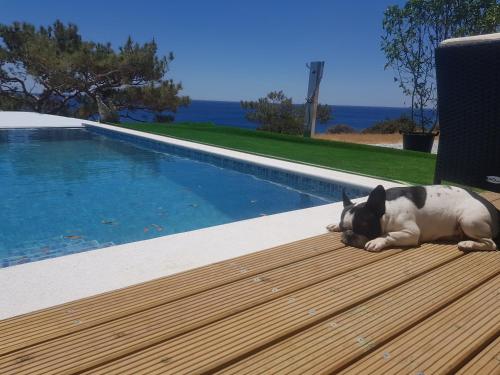 villa Ocean Island Isabella gîte à louer Galíni