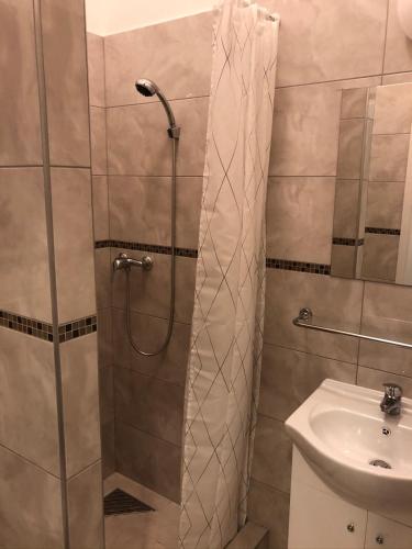 Omega Apartments Budapest - image 4