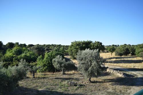 MemSoares Country House